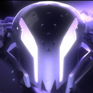 Silent Salt Cookie wallpaper