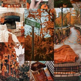 Cute fall collage wallpaper