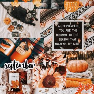Cute fall collage wallpaper