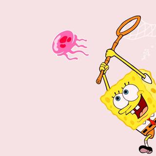 Spongebob pink wallpaper