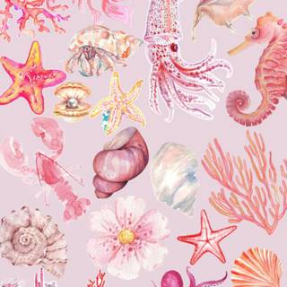 Pink illustration wallpaper