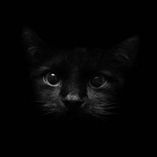 Dark camera wallpaper