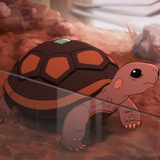 Common Side Effects wallpaper