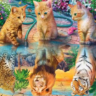 Cat and tiger wallpaper