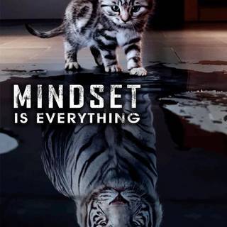 Cat and tiger wallpaper