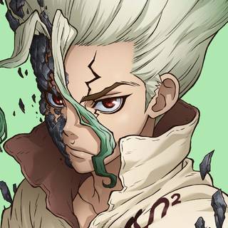 Dr. Stone Chibi wallpaper