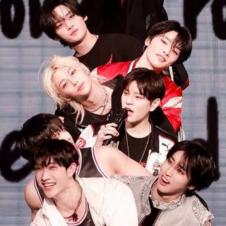 Funny Stray Kids wallpaper