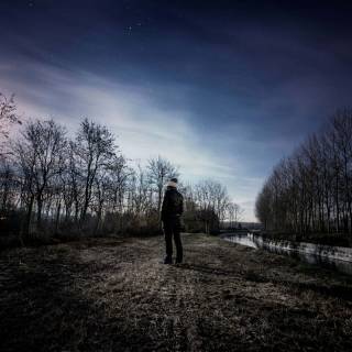 Sad forest wallpaper