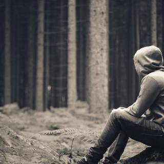 Sad forest wallpaper