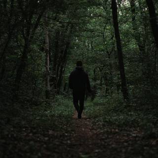 Sad forest wallpaper