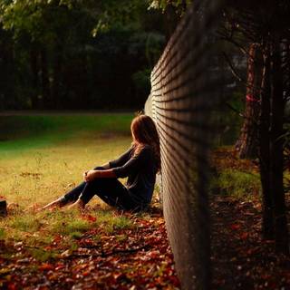 Sad forest wallpaper