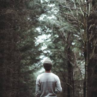 Sad forest wallpaper