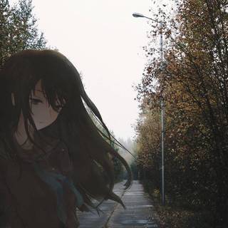 Sad forest wallpaper