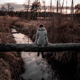 Sad forest wallpaper