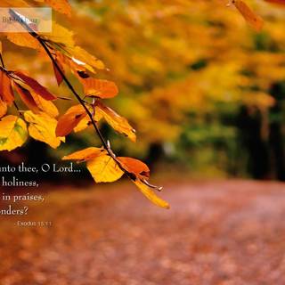 Fall Bible verses wallpaper