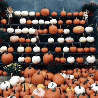 Halloween stuff wallpaper