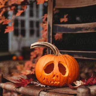 Halloween stuff wallpaper