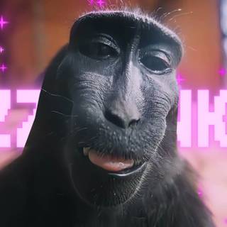 Monkey Rizz wallpaper
