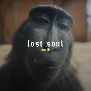 Monkey Rizz wallpaper