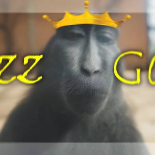Monkey Rizz wallpaper