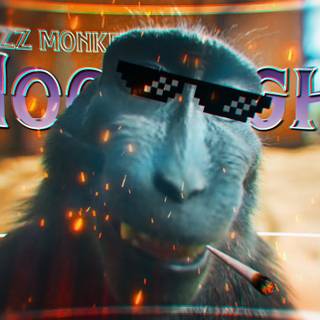 Monkey Rizz wallpaper