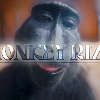 Monkey Rizz wallpaper