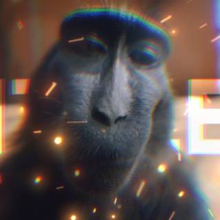Monkey Rizz wallpaper