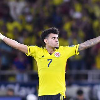 Colombia players wallpaper