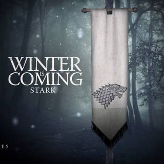 Winter Has Come wallpaper