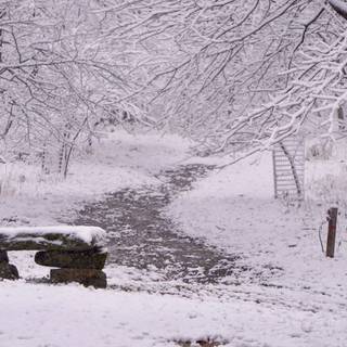 Snow flurry wallpaper