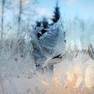 Snow flurry wallpaper