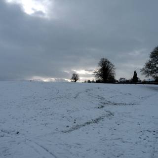 Snow flurry wallpaper