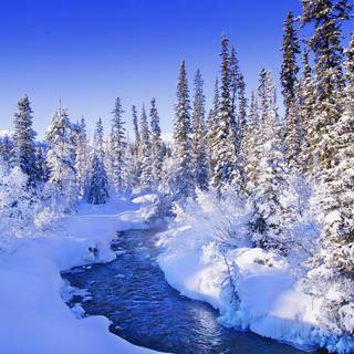 Snow flurry wallpaper