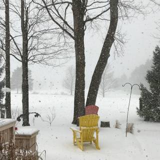 Snow flurry wallpaper