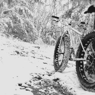 Snow bike wallpaper