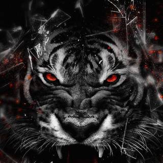 Tiger attack wallpaper