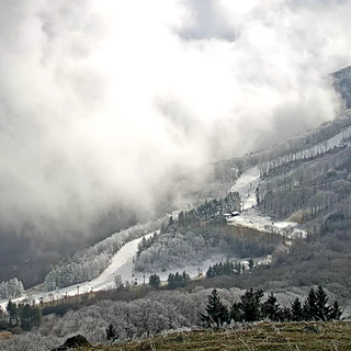 Snow flurry wallpaper