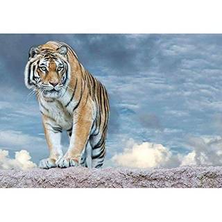 Tiger attack wallpaper