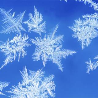 Snow flurry wallpaper