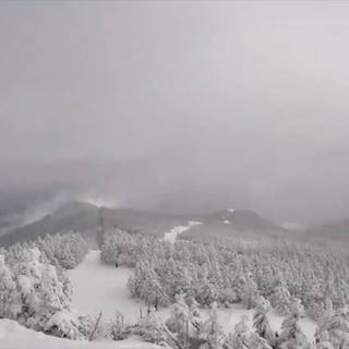 Snow flurry wallpaper