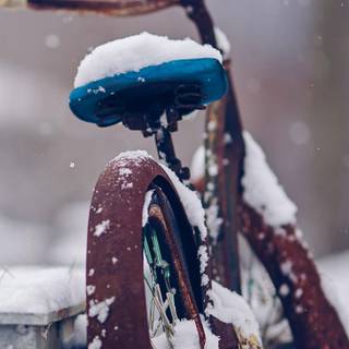 Snow bike wallpaper
