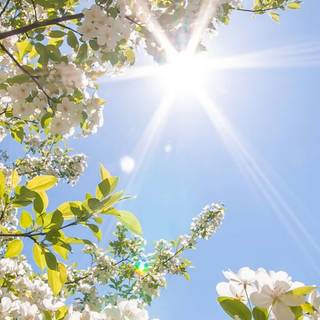 Spring weather wallpaper