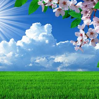 Spring weather wallpaper