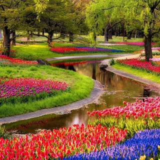 Spring weather wallpaper