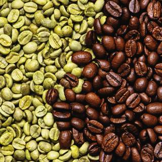 Green coffee wallpaper