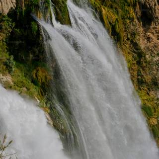 Spring weather wallpaper