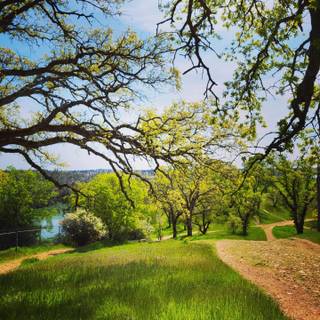 Spring weather wallpaper