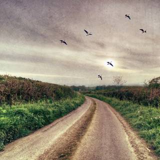 Spring weather wallpaper