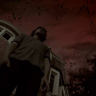 American Horror Story: Murder House wallpaper
