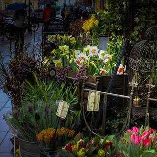 Spring weather wallpaper